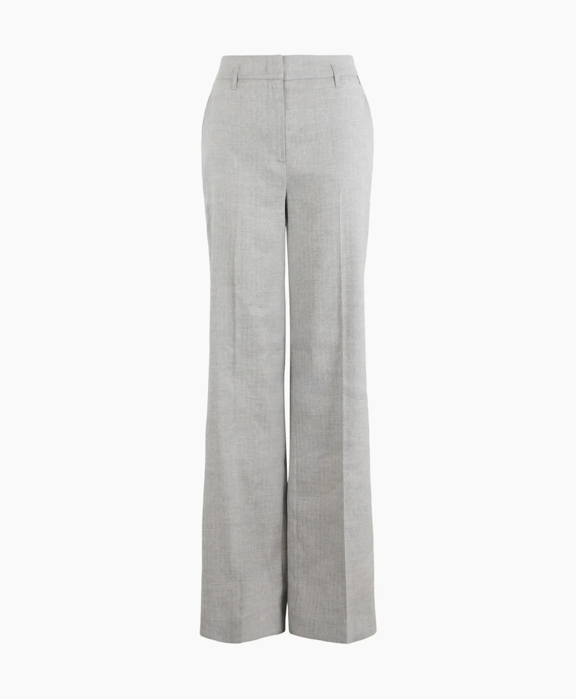 Broek 19A02-03182 Zilver^Anna Van Toor Online