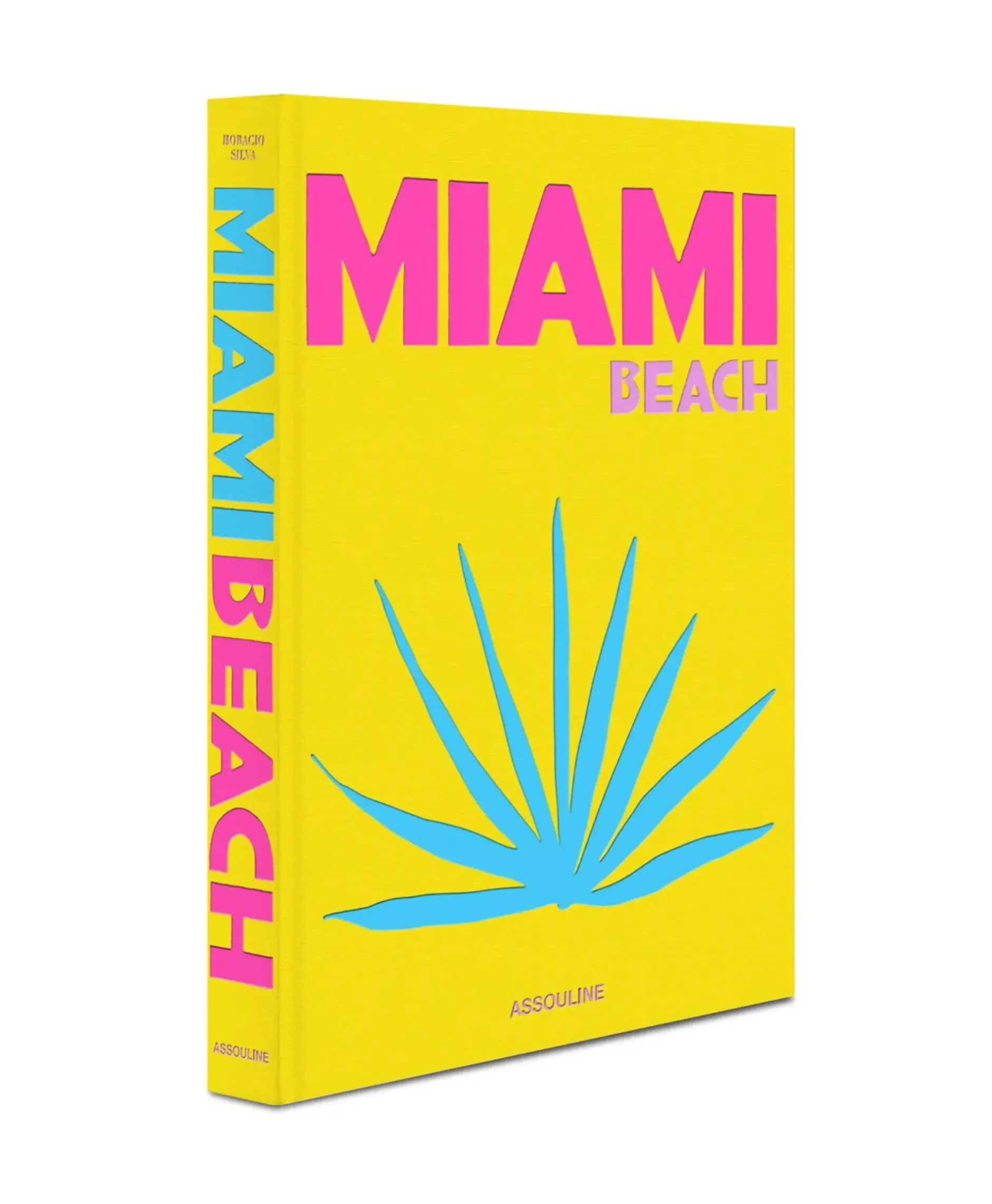 Boek Miami Beach Diversen^Assouline Sale