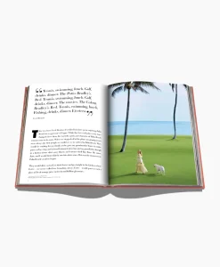 Boek Palm Beach Diversen^Assouline Clearance