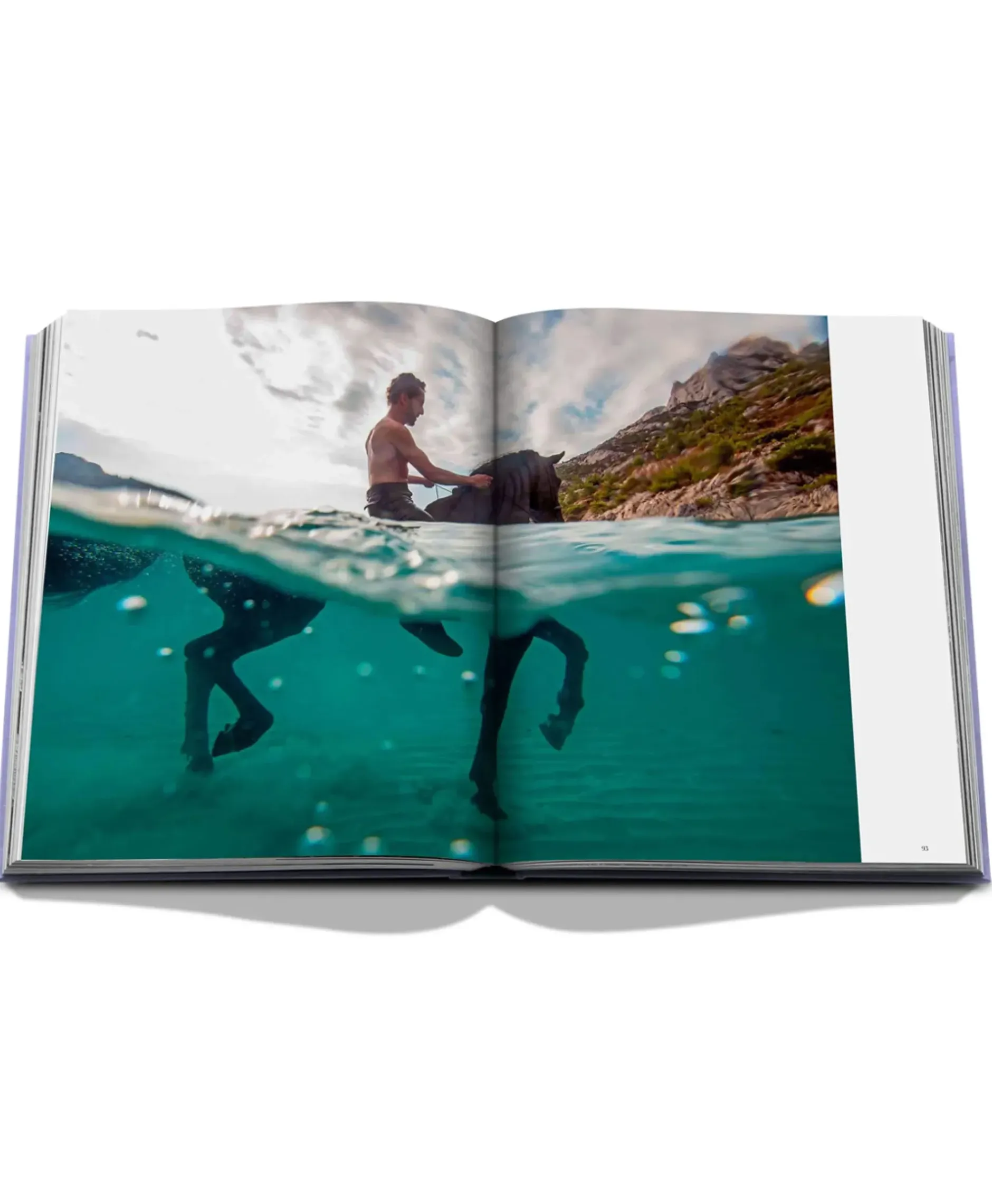 Boek Provence Glory Diversen^Assouline