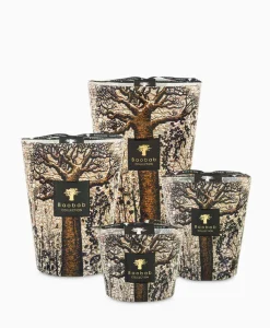 Kaars Max 10 Sacred Trees Morondo Diversen^Baobab Hot