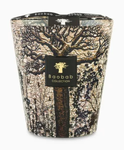 Kaars Max 16 Sacred Trees Morondo Diversen^Baobab Online