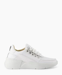 Sneaker Roque Roman Wit^Nubikk New