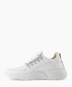 Sneaker Roque Roman Wit^Nubikk New
