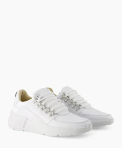 Sneaker Roque Roman Wit^Nubikk New