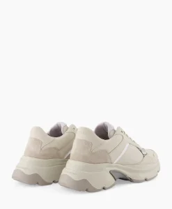 Sneaker Ross Jaden Beige^Nubikk Online