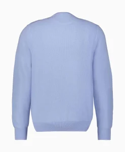 Pullover Cotton Long Sleeve Licht Blauw^Ralph Lauren Outlet