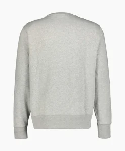 Sweater Paint Bear Grijs^Ralph Lauren Best