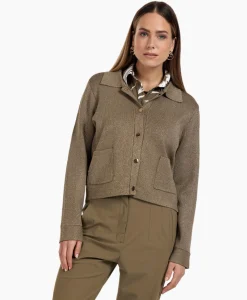 Vest Imke Lurex Cardigan Bruin Dessin^Studio Anneloes Online