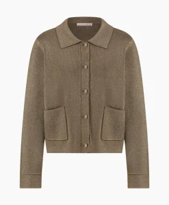 Vest Imke Lurex Cardigan Bruin Dessin^Studio Anneloes Online