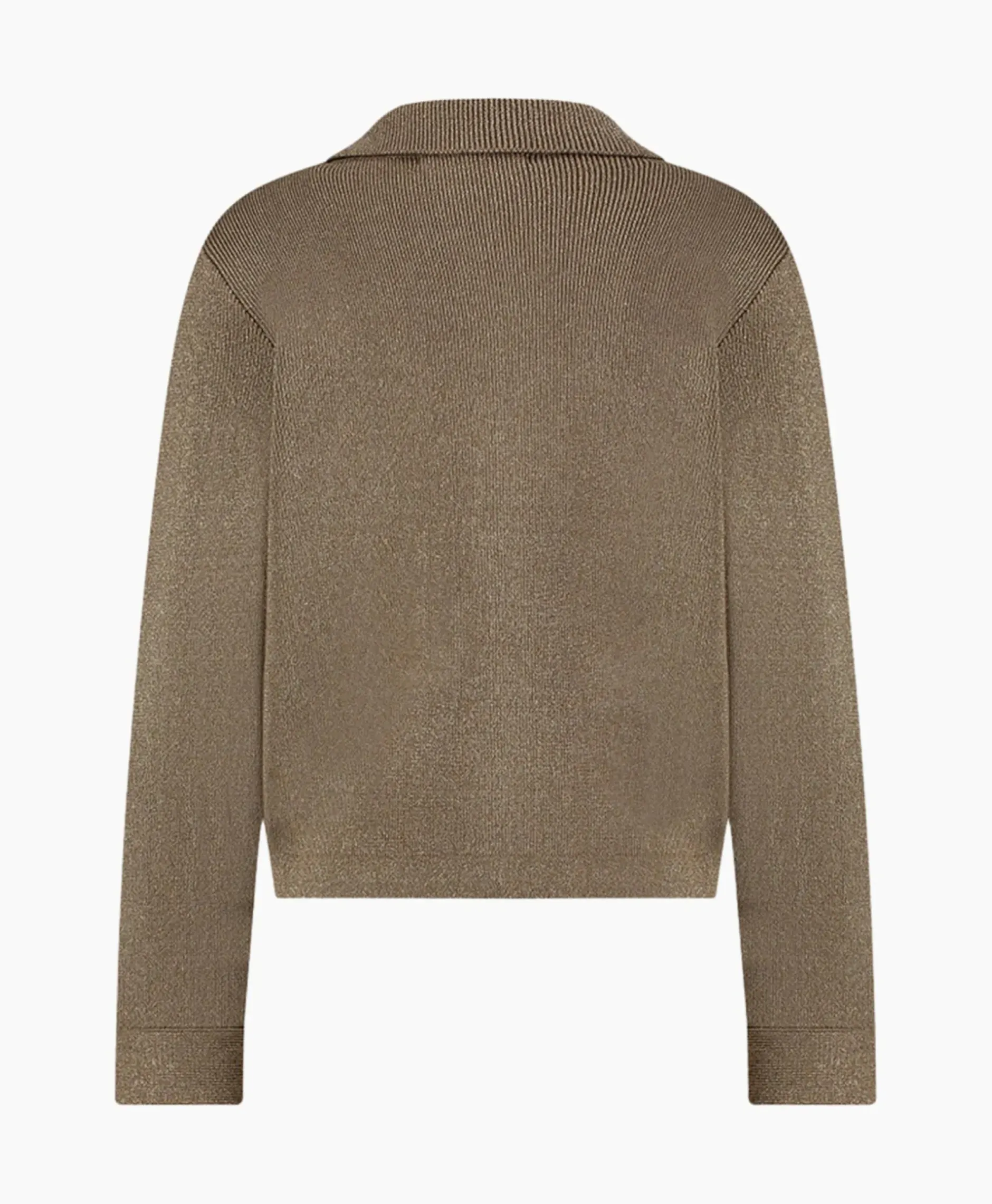 Vest Imke Lurex Cardigan Bruin Dessin^Studio Anneloes Online